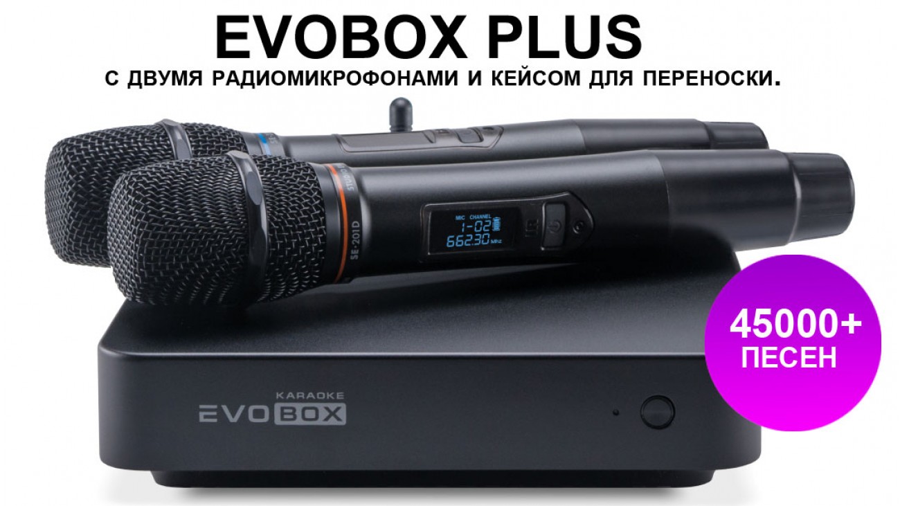 Караоке система для дома EVOBOX Plus с  2 беспроводными микрофонами и кэйсом в комплекте 
